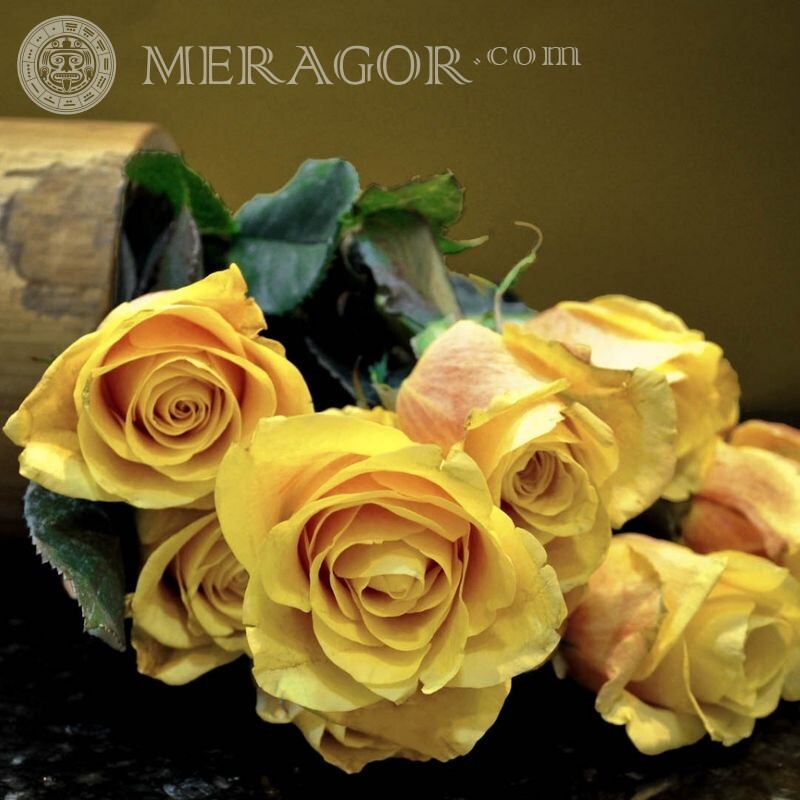 Букет с розами на аватар Цветы