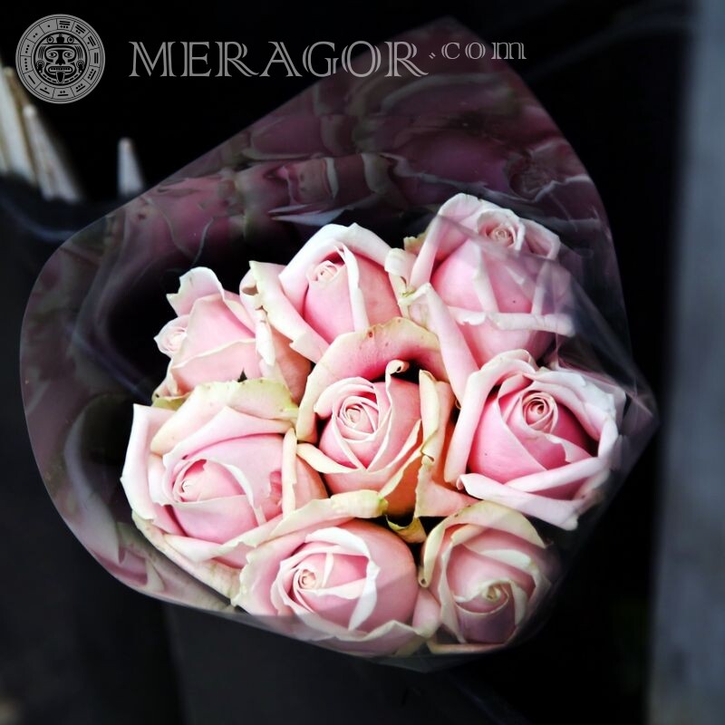 Foto de ramo de rosas para avatar Flores