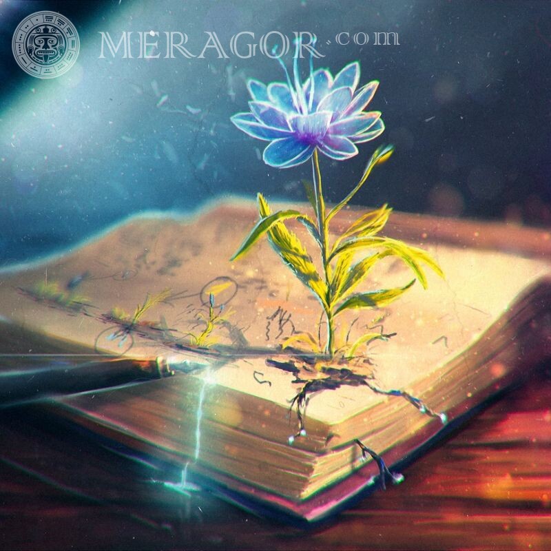 Eine Blume wächst aus einem Buch ein schönes Bild für einen Avatar Blumen