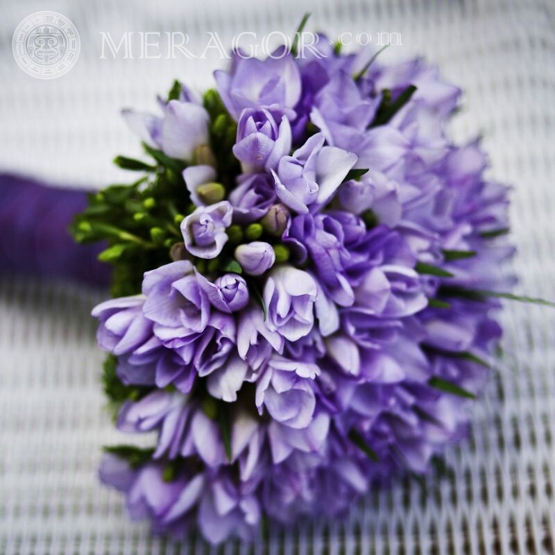 Bouquet lilac flowers for avatar Flowers