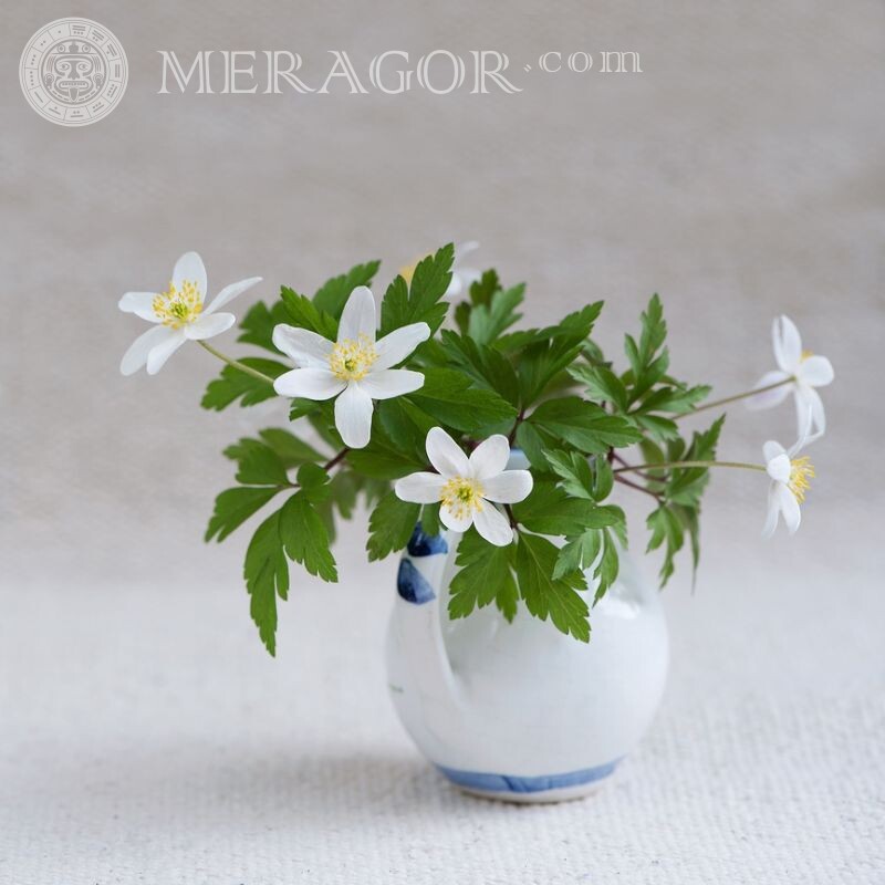 Vase mit Blumenbild für Avatar Blumen