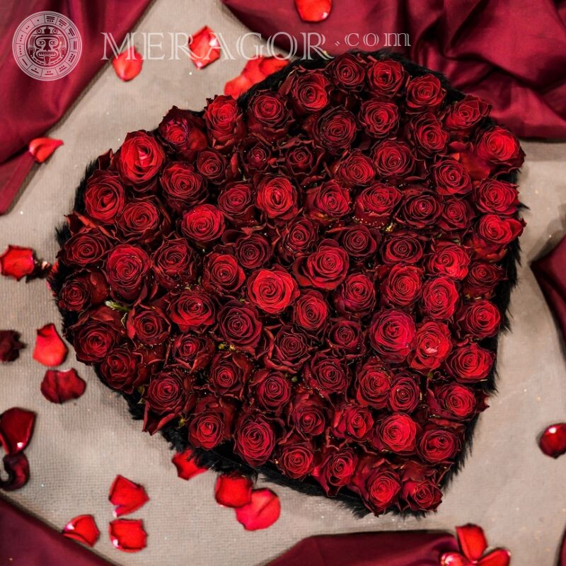 Сердце из роз фото на аву Праздники Цветы