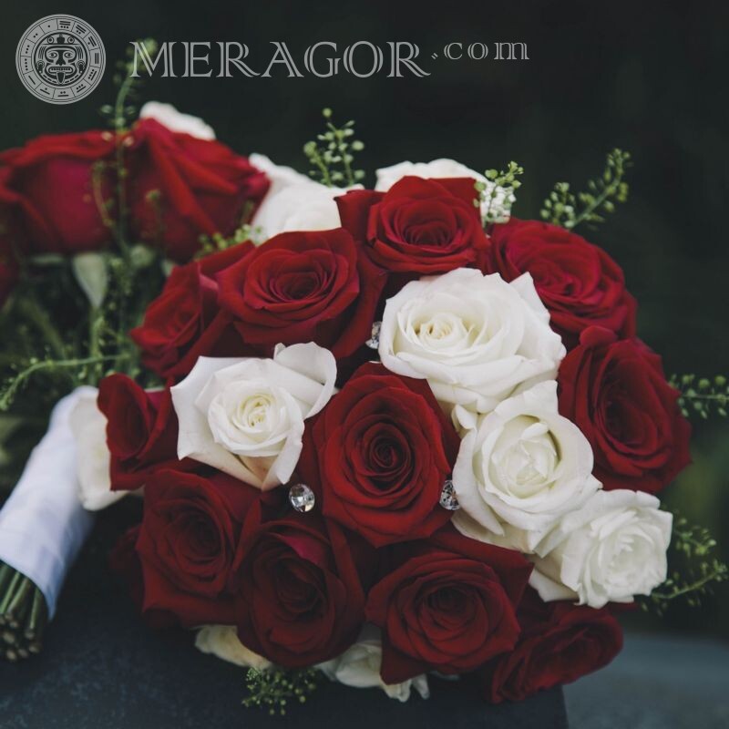 Ramo de rosas rojas y blancas en el avatar Flores