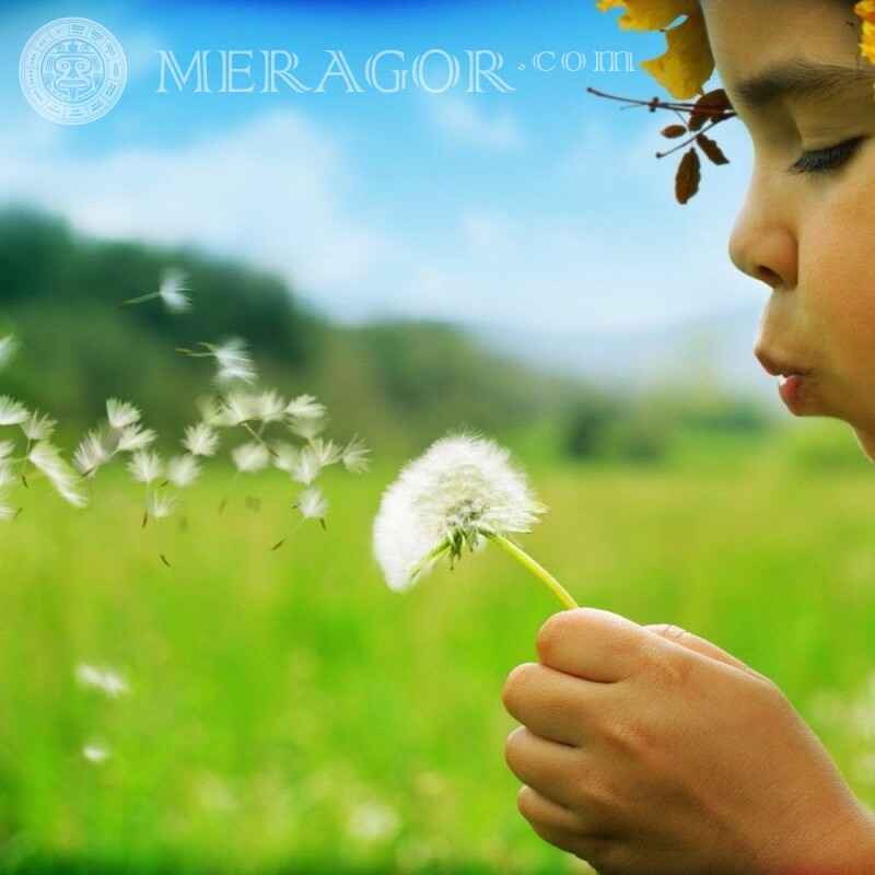 Girl with dandelion avatar download Small girls Babies