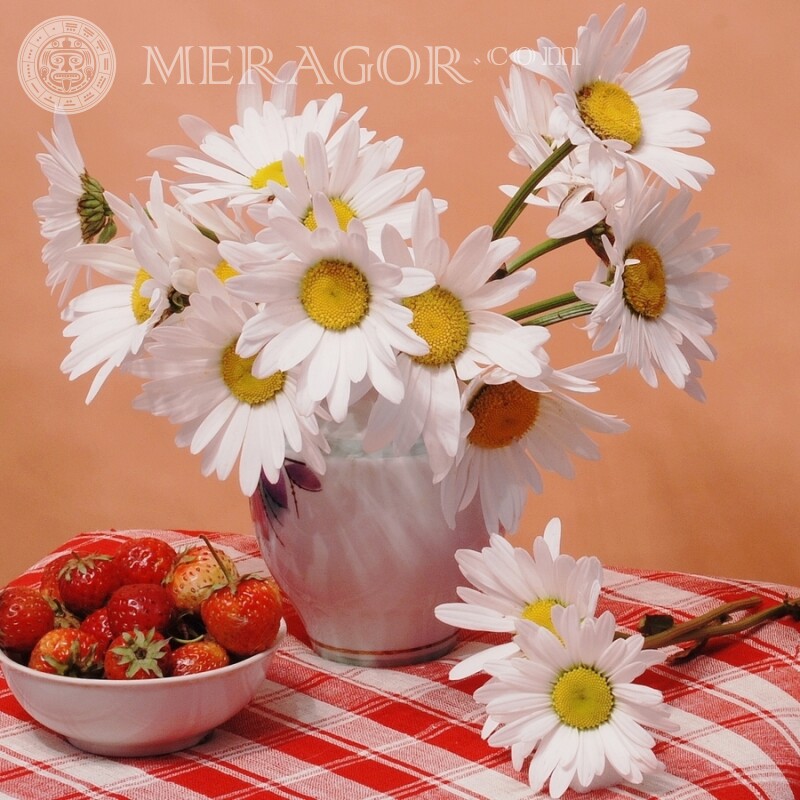 Camomille dans un vase avec des fraises photo Nourriture