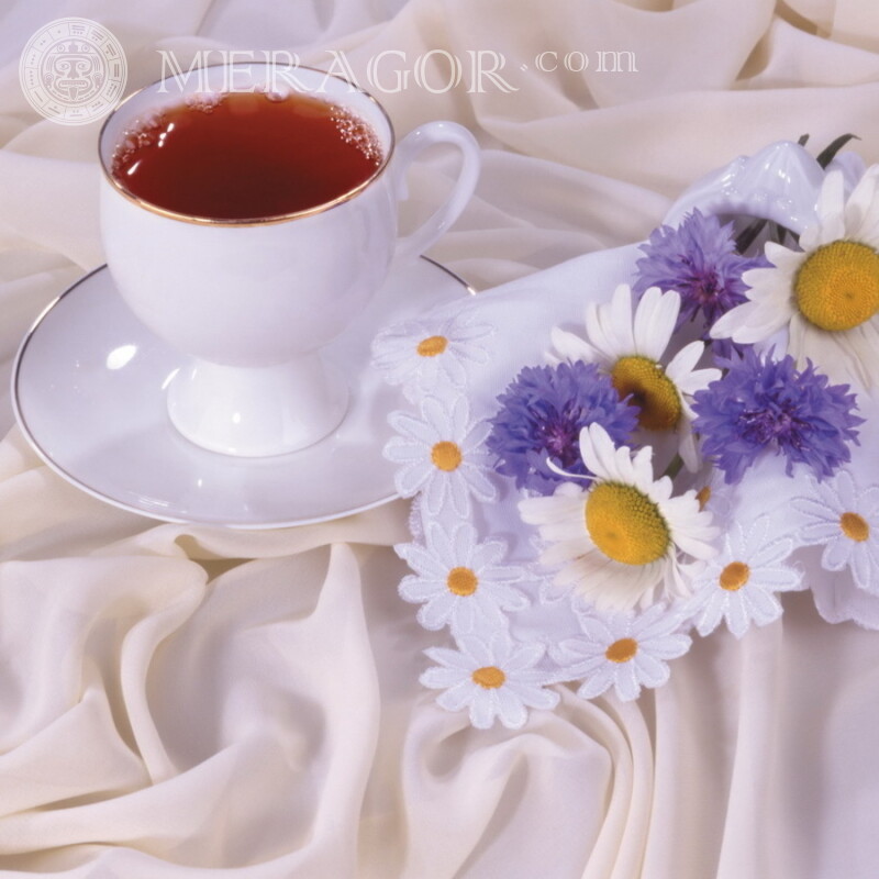 Tasse Tee mit Kamillenblüten Essen