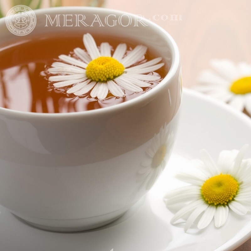 Чашка чая с ромашкой фото Еда