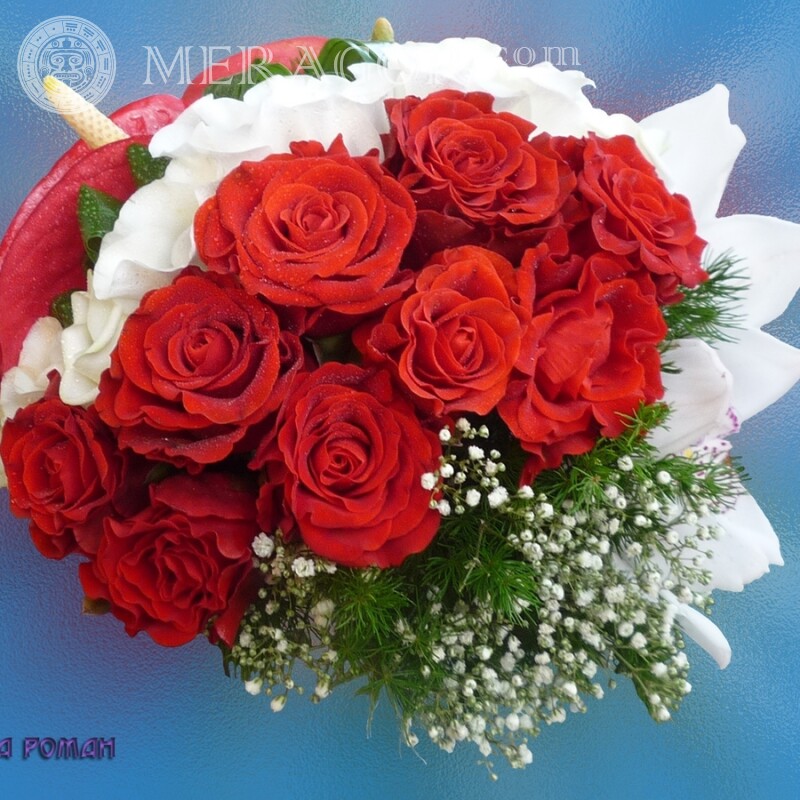 Букет красных роз фото на аву Праздники Цветы
