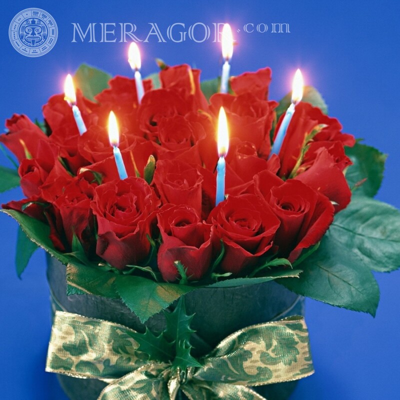 Bouquet of red roses on an avatar Holidays Flowers