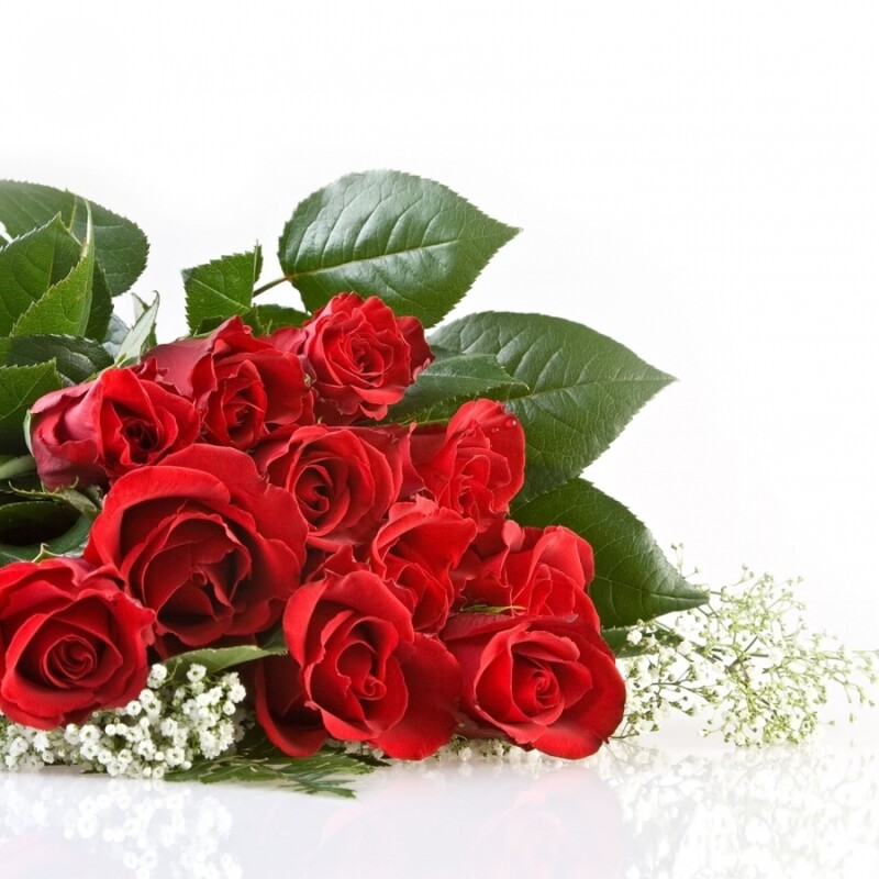 Букет красных роз фото скачать Праздники Цветы