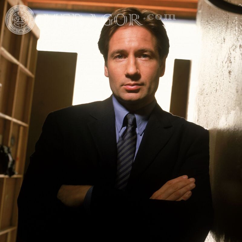David Duchovny The X-Files Celebrities Business Faces, portraits Men