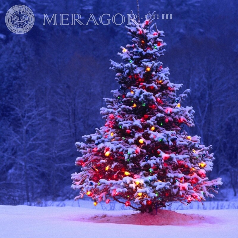 Árbol de navidad en descarga de avatar Fiesta Para el año nuevo
