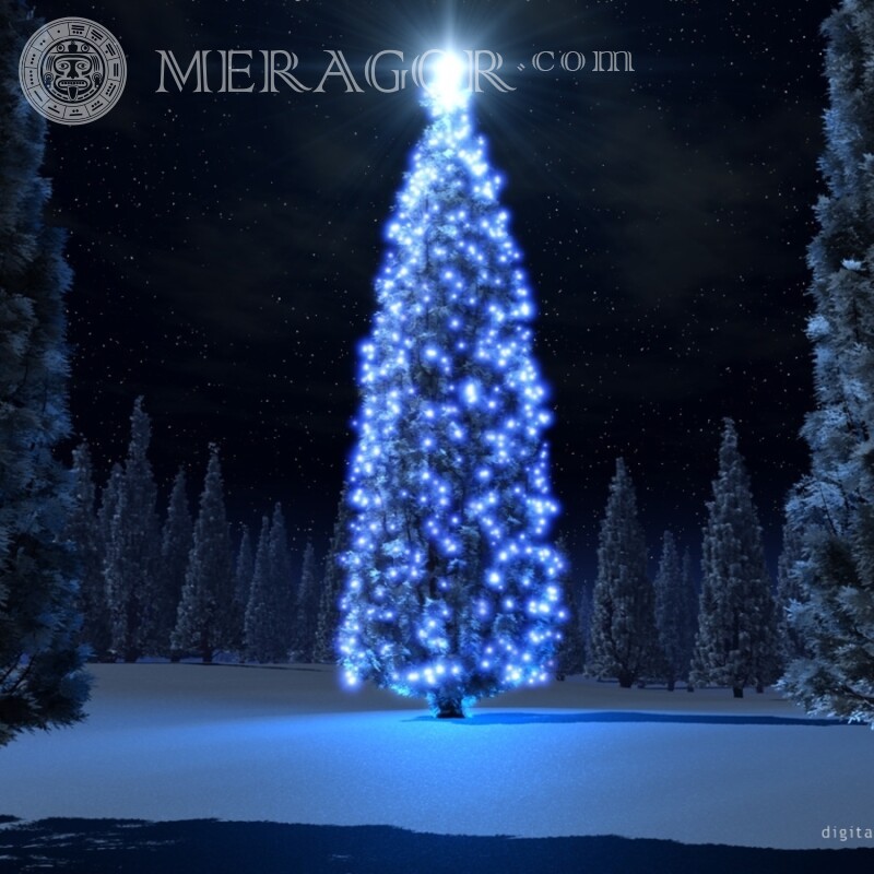 Sapin de Noël sur avatar télécharger sur profil Fêtes de Nouvel an