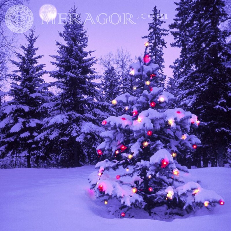 Descarga de avatar de árbol de Navidad Fiesta Para el año nuevo