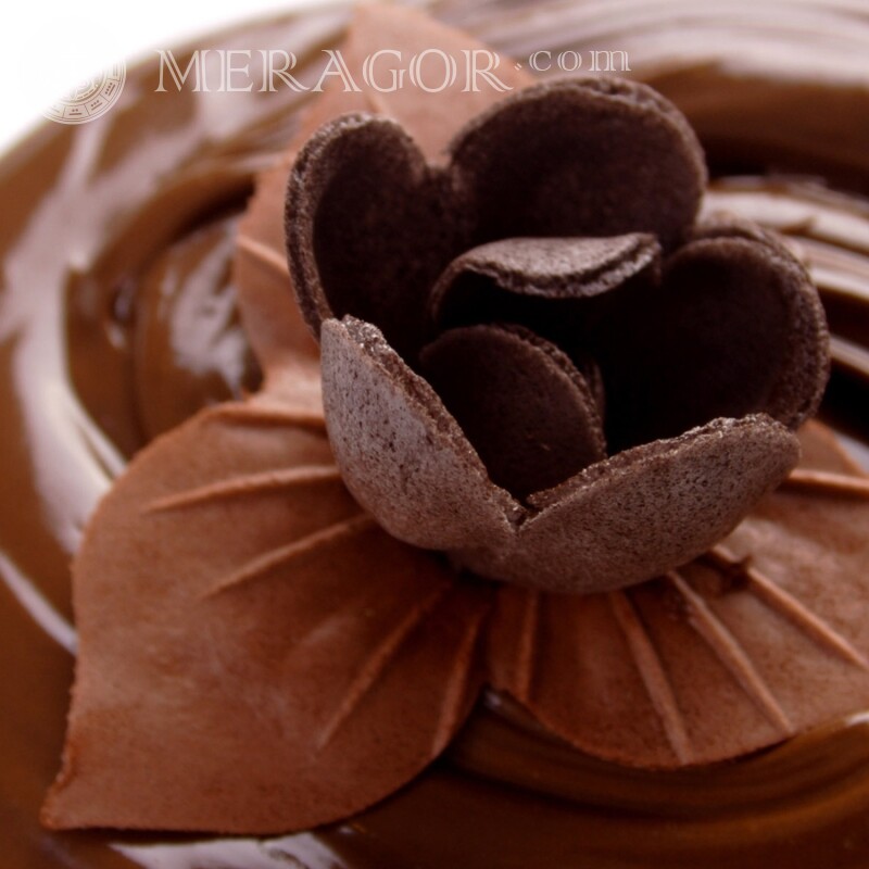 Торт с шоколадным цветком Еда
