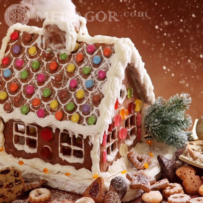 House with cookies Food