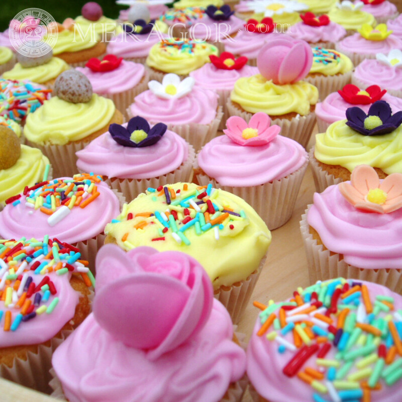 Разноцветные пирожные фото Еда