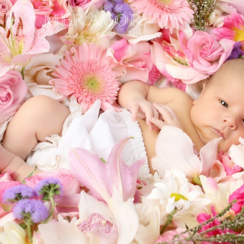 Babyfoto für Profilbild Kindliche Blumen