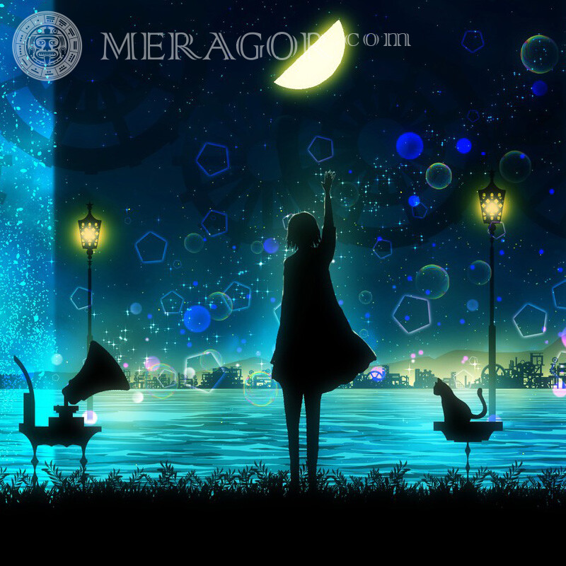 Girl silhouette cat water night in the photo Anime, figure Silhouette