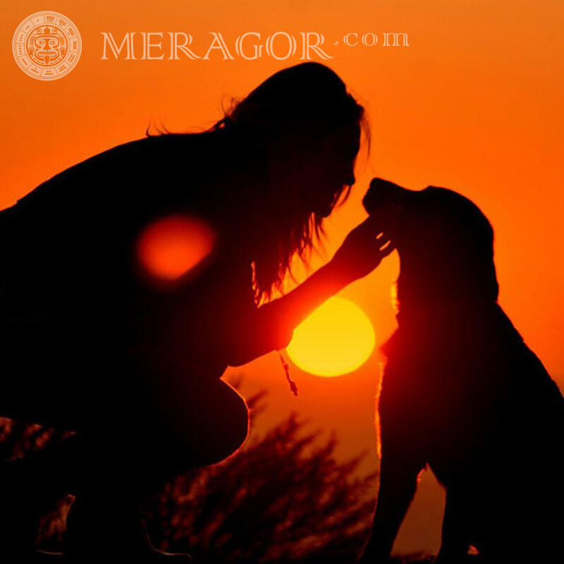 Foto do pôr do sol do cachorro da menina Cão Silhueta
