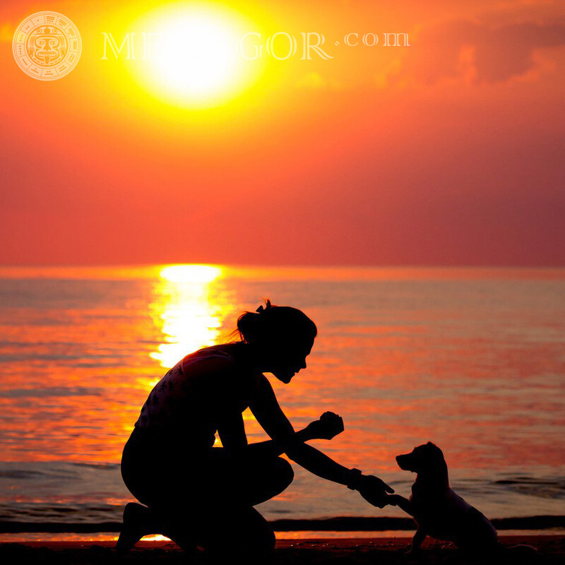 Mädchen Hund Sonnenuntergang Meer auf Profil Silhouette Hunde