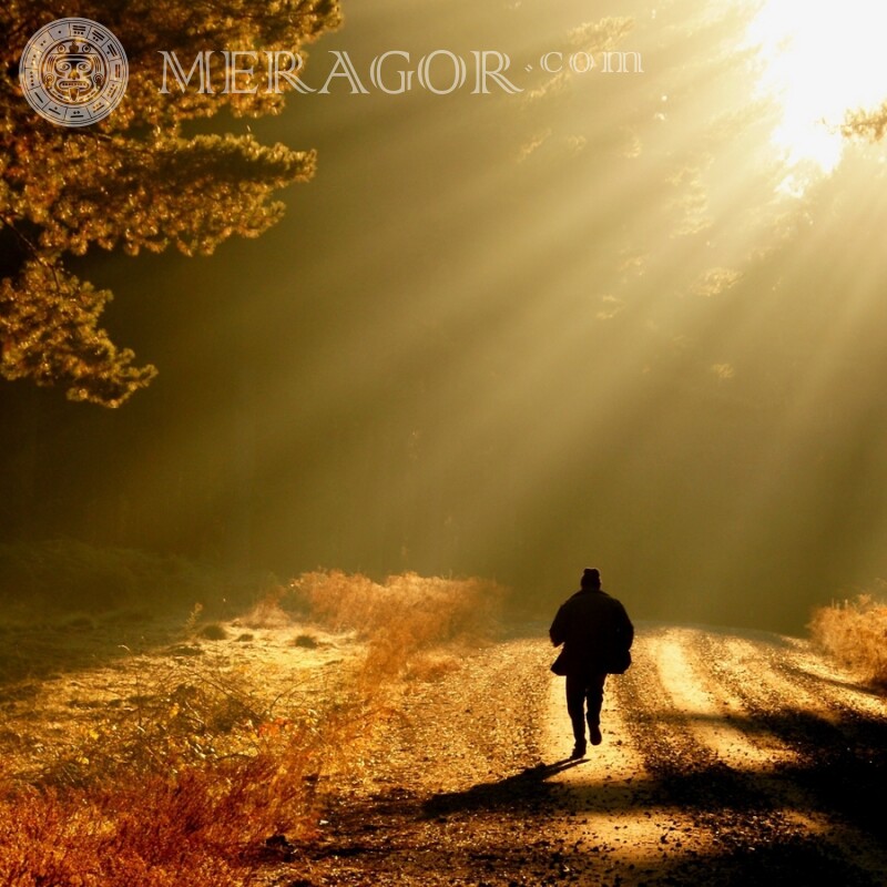 Silhouette eines laufenden Mannes auf einem Avatar Silhouette Herbst