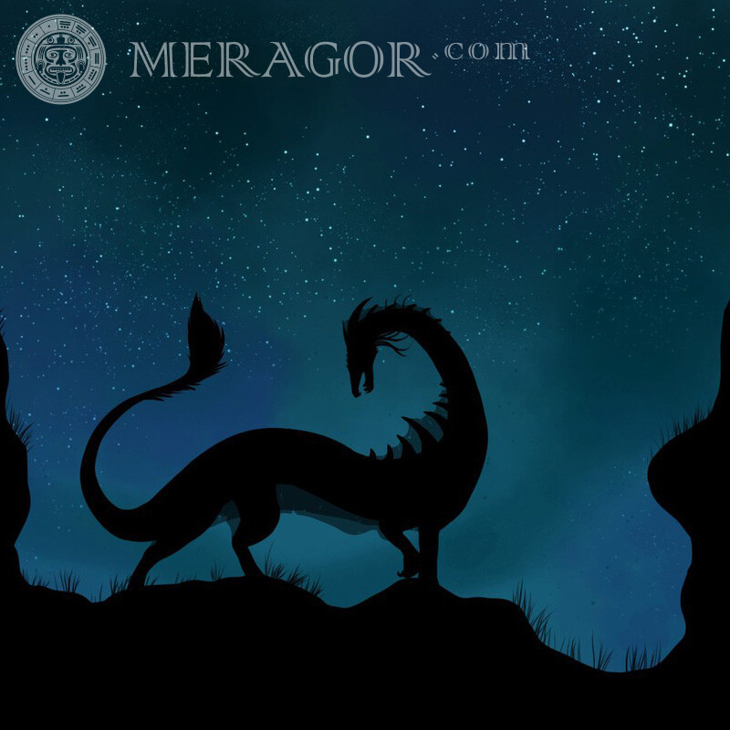 Silueta de cola de dragón en la página Dragón Anime, figura
