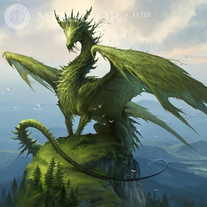 Зеленый дракон для аватарки Драконы Аниме, рисунок