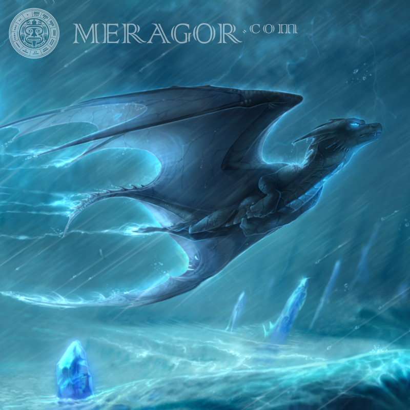 Avatars de dragon | 0 Dragons