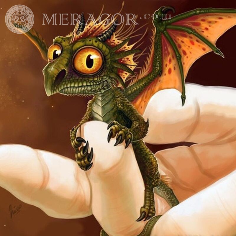 Cool dragfor icon Dragons Funny animals