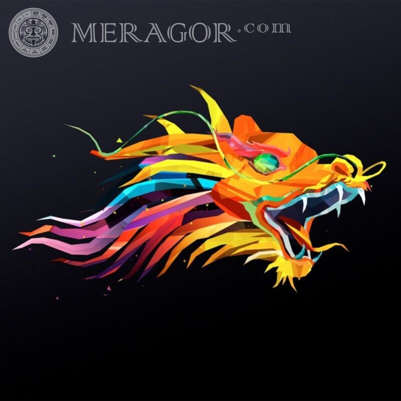 Арт дракон для стима Драконы Аниме, рисунок Стим
