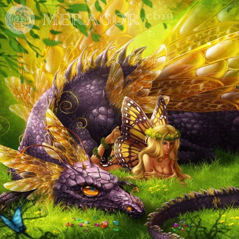 Avatar de dragão e elfo Dragões Os elfos