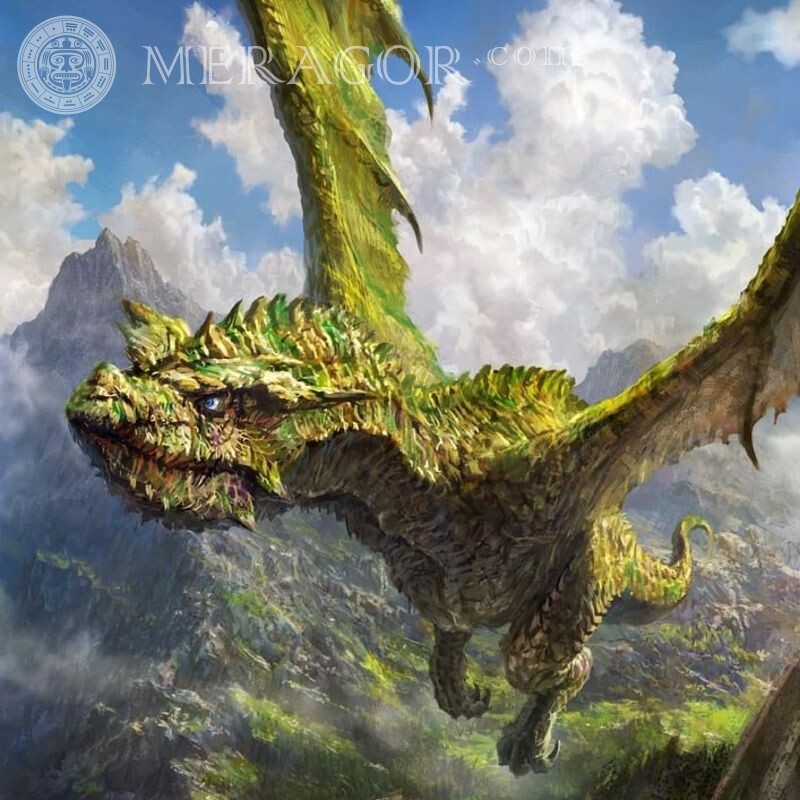 Летящий дракон на аватар Драконы Аниме, рисунок