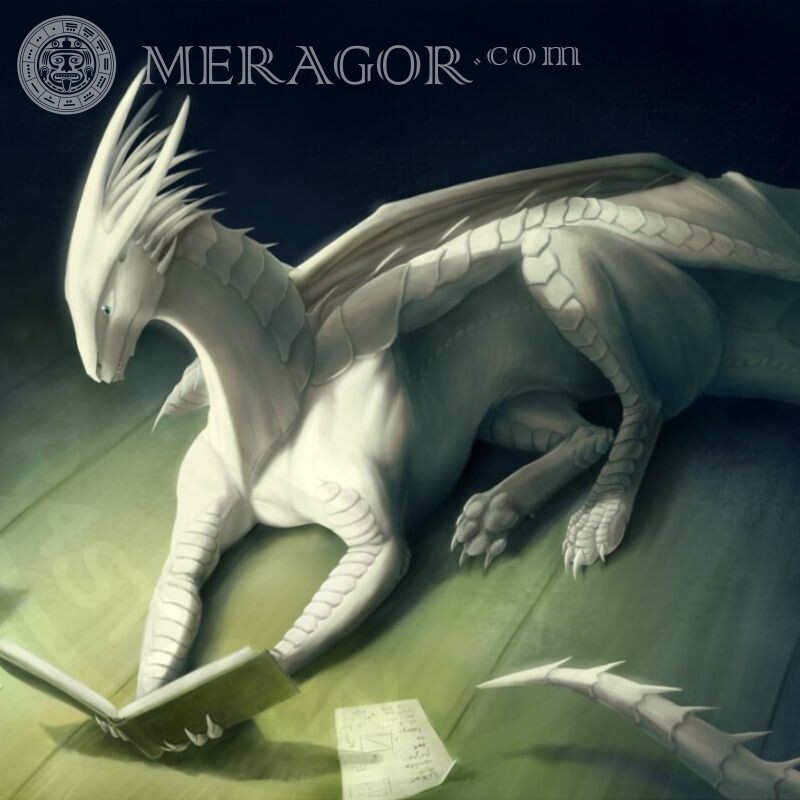 Avatar de dragão competente Dragões
