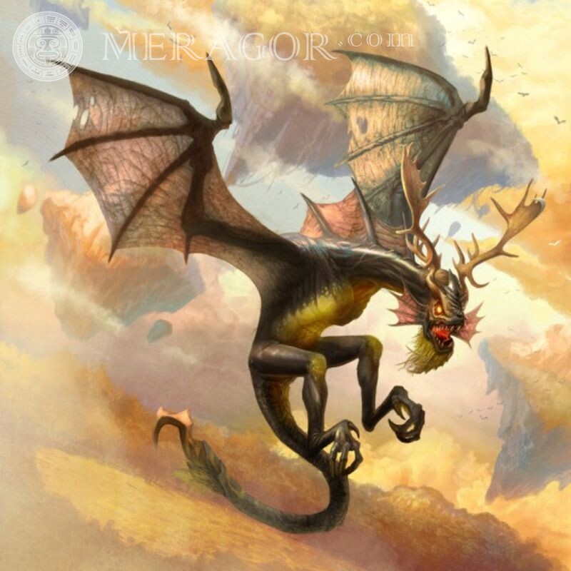 Аватары со сказочными драконами Драконы Аниме, рисунок