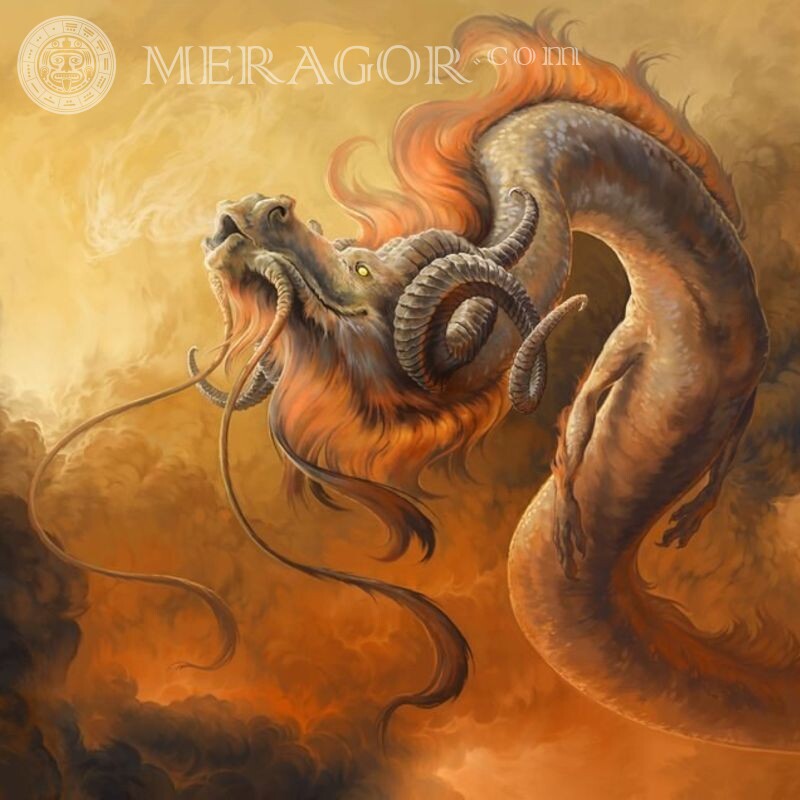 Китайский дракон арт для авы Драконы Аниме, рисунок