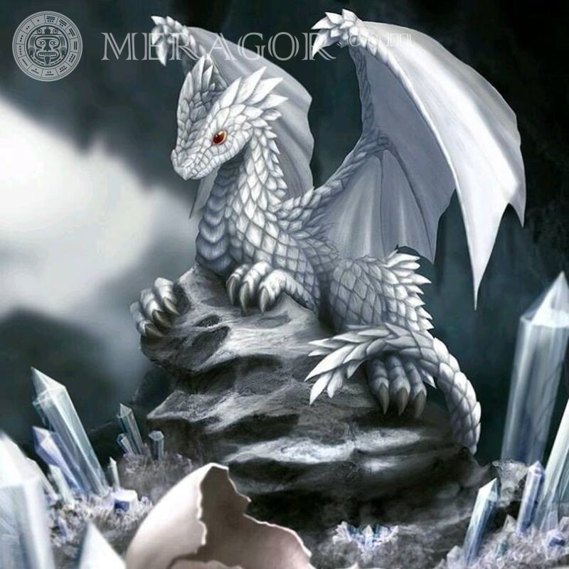 Картинка с драконом на аву Драконы Черно-белые