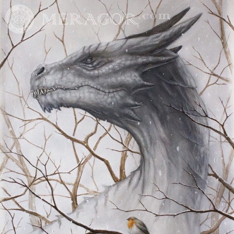 Рисунок дракона на аву Драконы Аниме, рисунок
