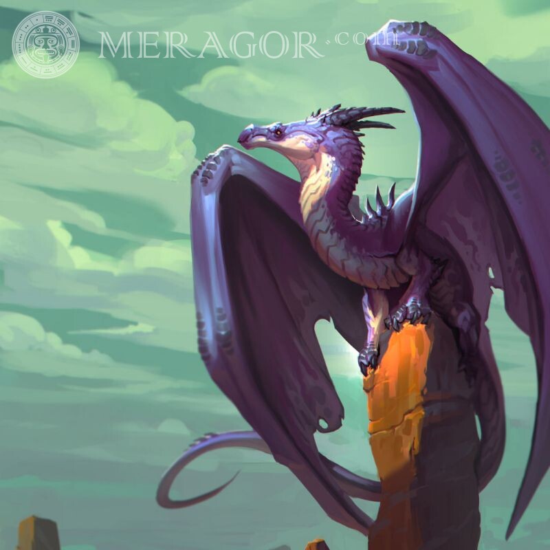 Картинки с драконом скачать на аватар Драконы