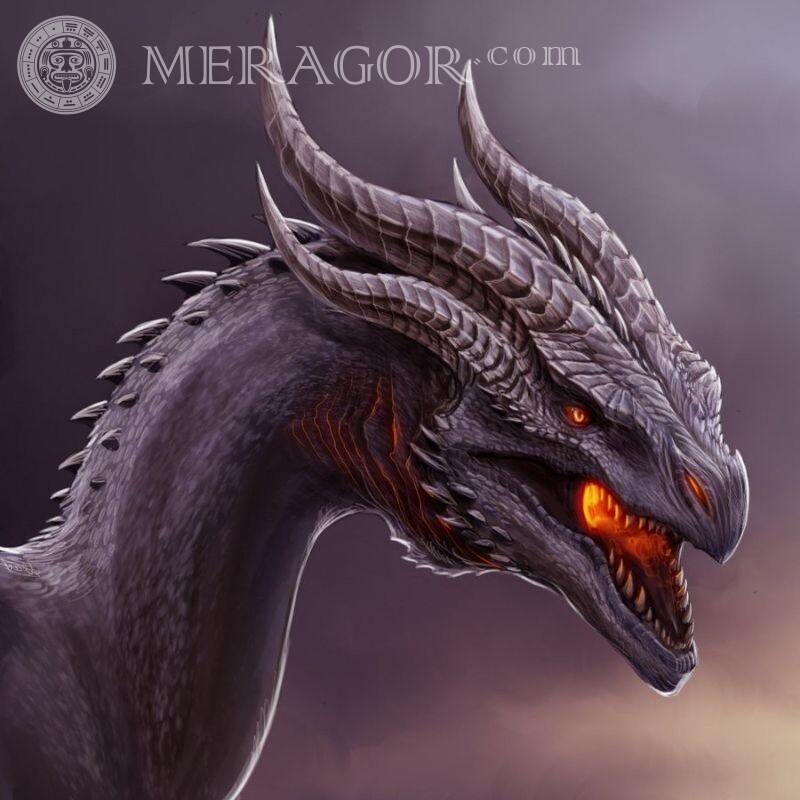 Download da foto do dragão no avatar Dragões