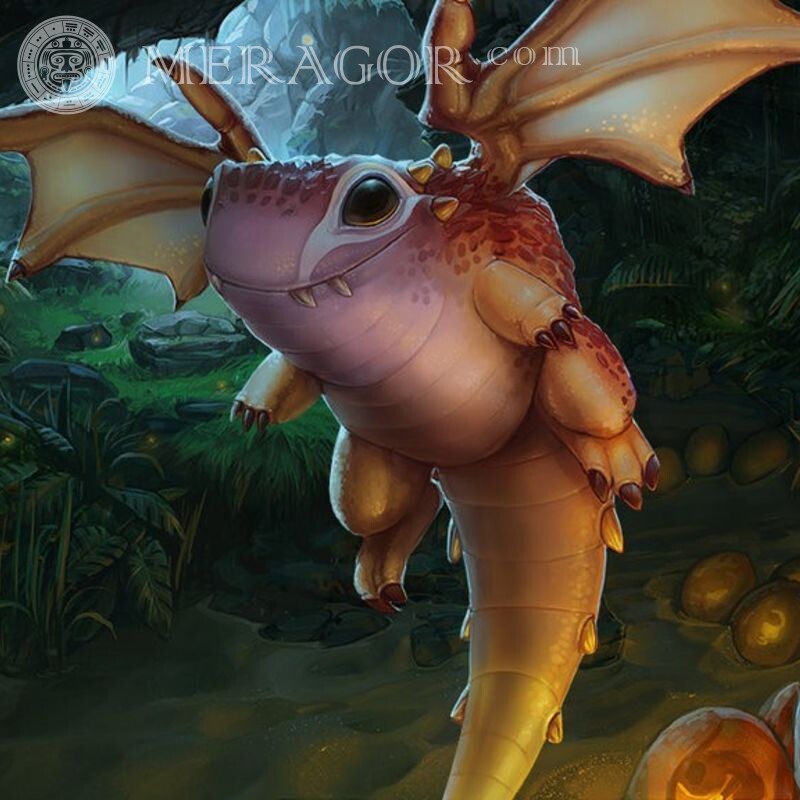 Pequeno dragão fofo no avatar Dragões