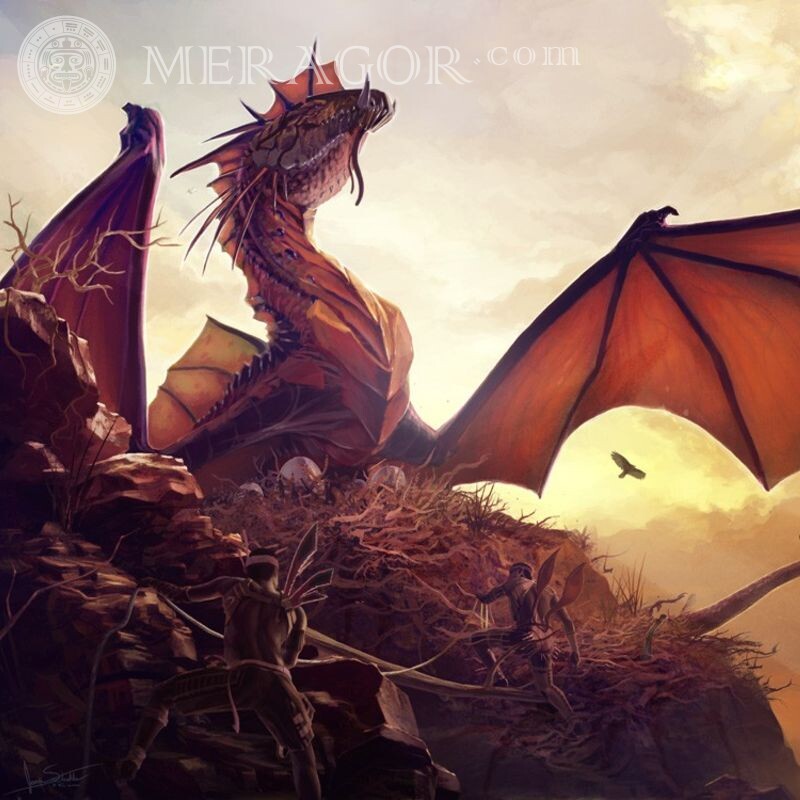 Novas fotos com dragões para avatar Dragões