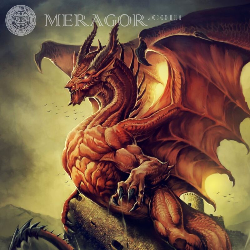 Рыжий дракон на аватар Драконы