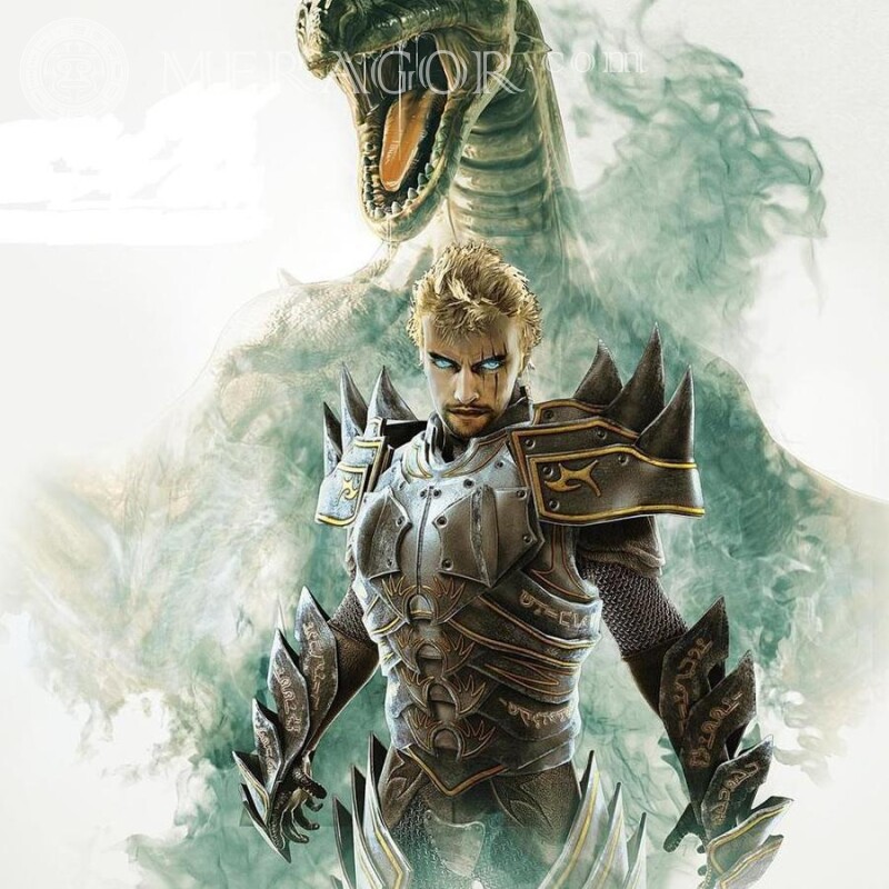 Download picture from game Divinity All games Dragons