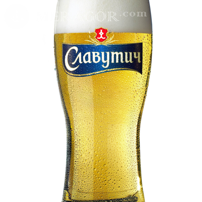 Logotipo da cerveja Slavatarkutich no avatar Logos