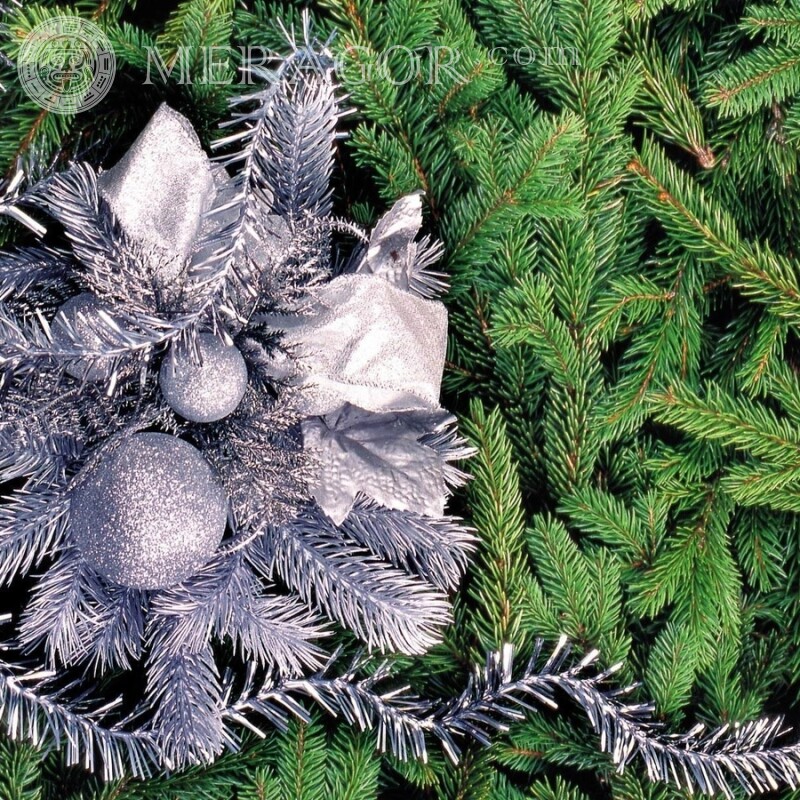 Weihnachtsbaumzweig auf Avatar Feierzeit Weihnachten Avatare