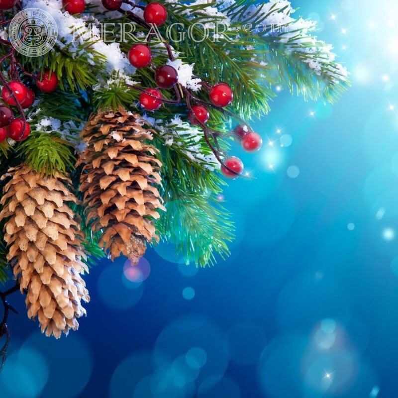 Branche d'arbre de Noël sur téléchargement d'avatar Fêtes de Nouvel an