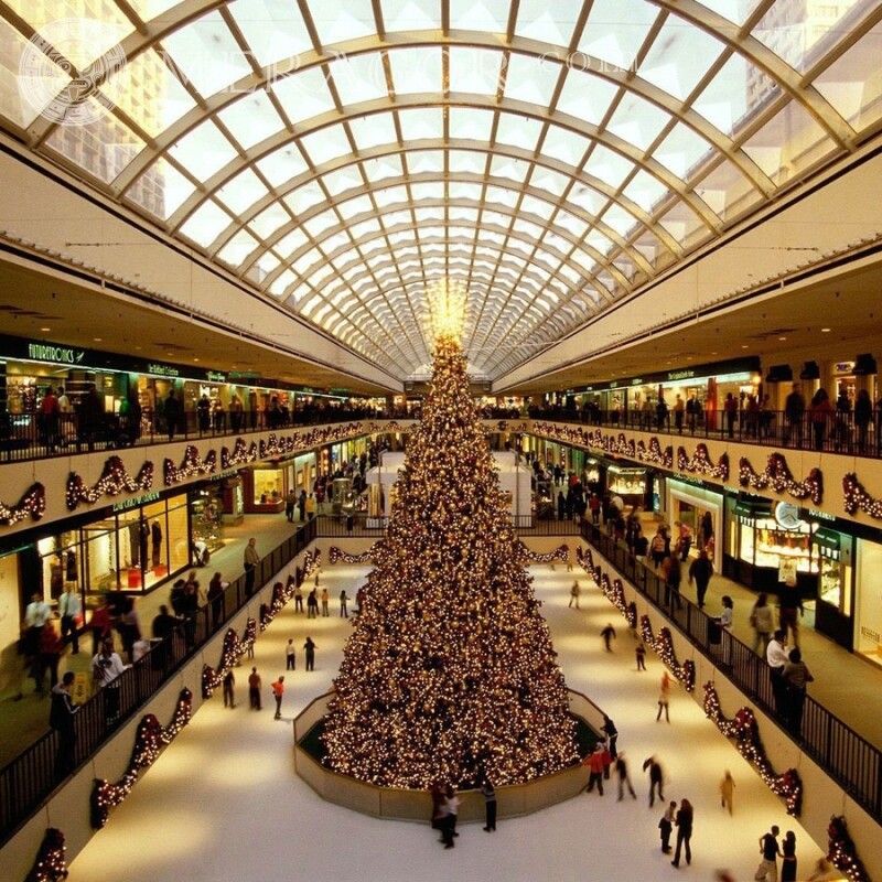 Grand arbre de Noël dans une photo de centre commercial pour votre photo de profil de Nouvel an Fêtes