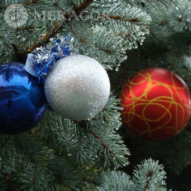 Neujahrs-Avatar-Download für YouTube Feierzeit Weihnachten Avatare