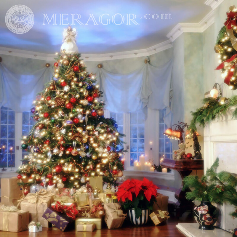 Mit einem schönen Weihnachtsbaum bedecken Feierzeit Weihnachten Avatare